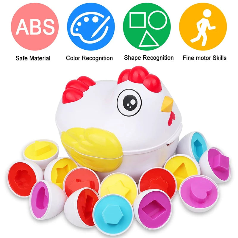 12 Matching Baby Toy Eggs