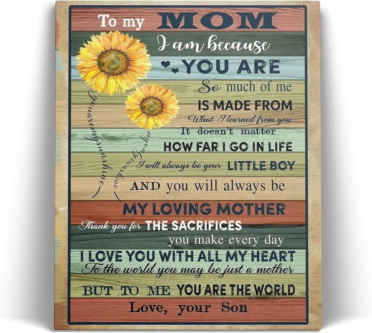 Mothers Day Gifts, Birthday Gifts for Mom, Canvas Poster Home Decor, Mothers Day Gifts from Daughter & Son, Cute Room Decor (12X16 Inches, for Son)